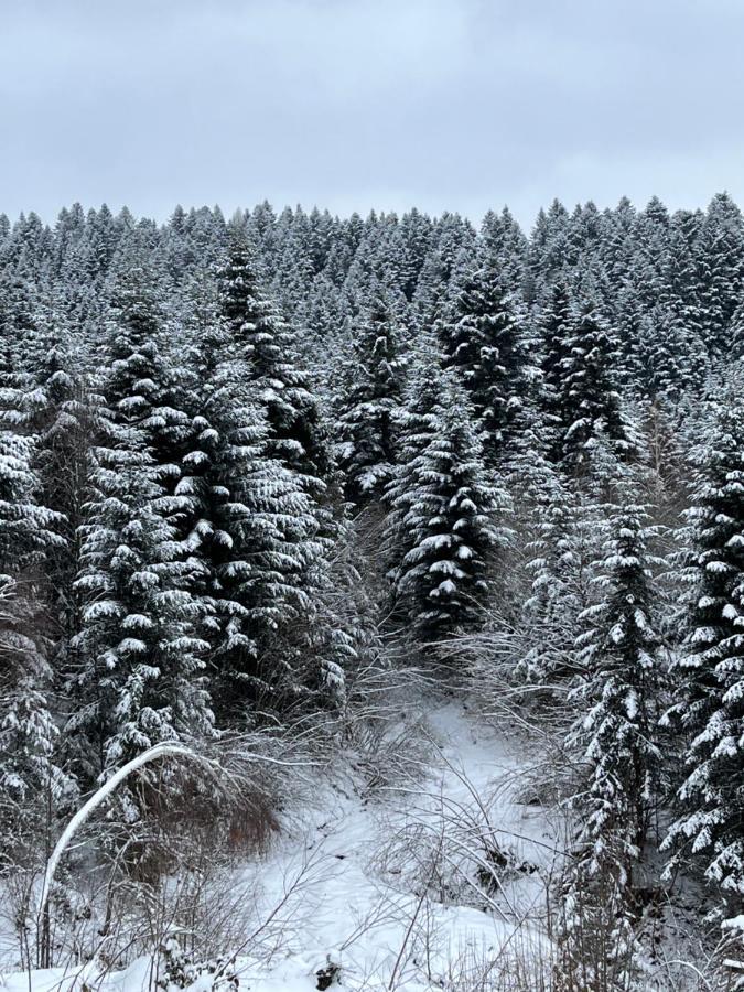 Belvedere-Karpaty-Panorama Skhidnytsia Kültér fotó